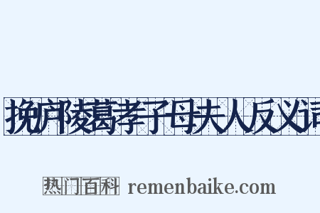 挽庐陵葛孝子母夫人反义词是什么意思的图片
